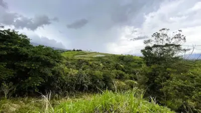 Superbe Maison Sur Un Grand Terrain À Carrizal, Alajuela 4