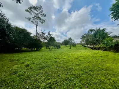 Spacious 2,600 m2 Lot with Fruit Trees near Santa Teresa - Ready to Build