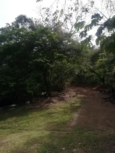 Magnifique terrain à Santa Ana pour un promoteur 5