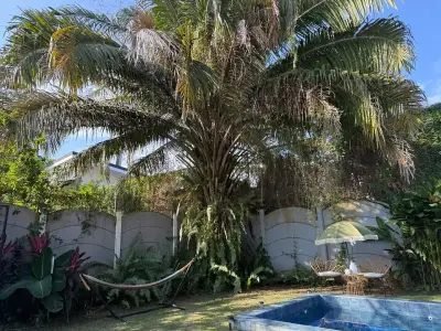 Investissement de premier ordre : propriété de 4 chambres à Jacó Beach, Jacó 2