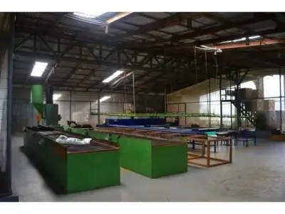À Vendre : Plantation De Cacao En Production Et En Croissance 4