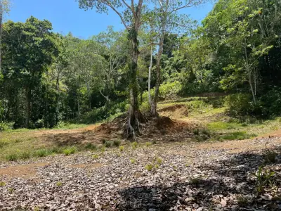 Terrain de développement exceptionnel de 5028 m² à Jacó, Costa Rica – Des possibilités infinies vous attendent