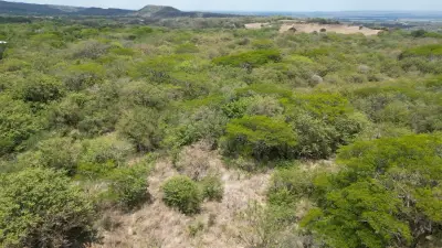 Terrain Exclusif de 6,5 Hectares à Quebrada Grande de Liberia, Guanacaste