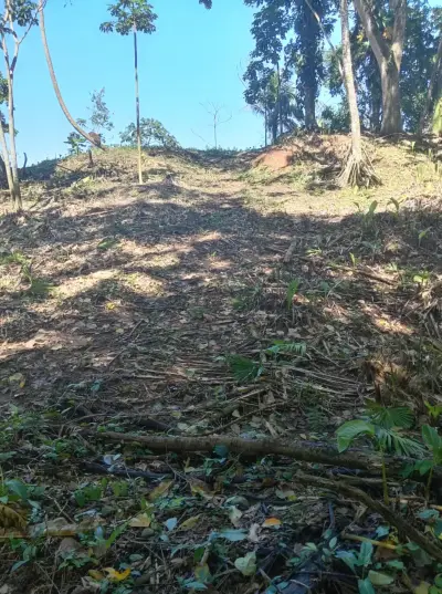 Opportunité d'investissement devant la mer à Matama, Limón, Costa Rica. 4