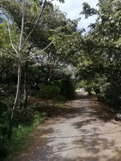 Magnifique terrain à Santa Ana pour un promoteur 3