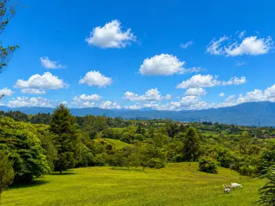 VENTE / Sanctuaire de montagne à Coronado 3