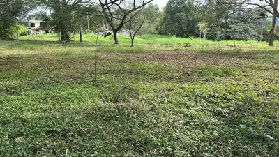 Magnifique terrain 1