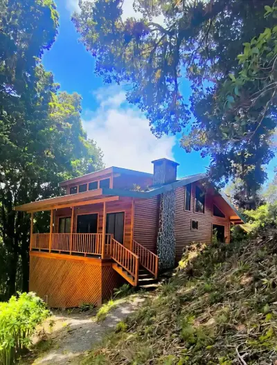 Chalet en bois de cyprès avec jardin biologique 1