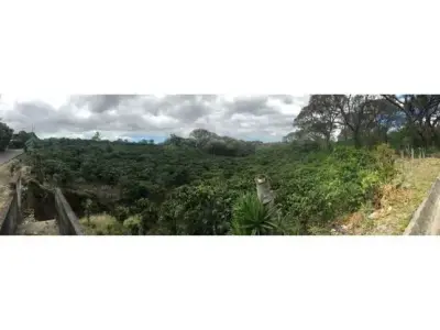 Terrain à vendre, San Pablo Heredia, Centre 1