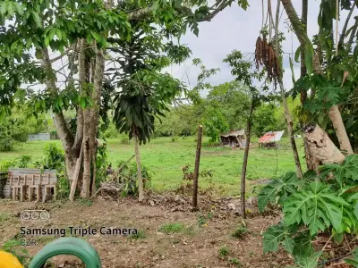 Terrain de choix à vendre à Palmares, Pérez Zeledón 5