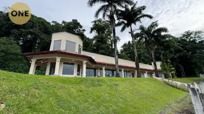 Investissement solide à Limón : Propriété commerciale consolidée à Siquirres 2