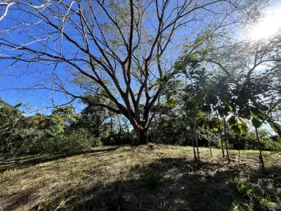 Terrain de 4000m² avec vues partielles sur l'océan à Delicias, près de Montezuma et à 20 min de Santa Teresa, prêt à construire 5