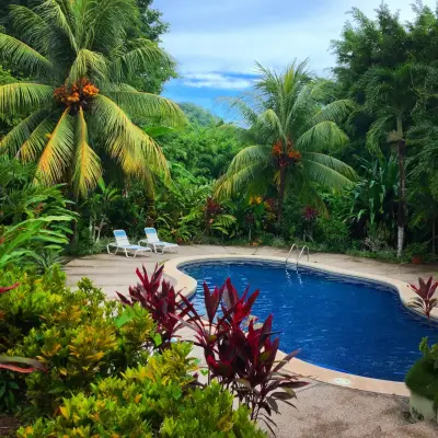 Près de 90 hectares de beauté jungle intacte avec vue imprenable sur l'océan, à quelques pas de la plage dans la Zone Bleue du Costa Rica. 3
