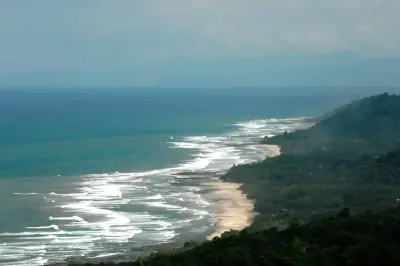 Près de 90 hectares de beauté jungle intacte avec vue imprenable sur l'océan, à quelques pas de la plage dans la Zone Bleue du Costa Rica. 1