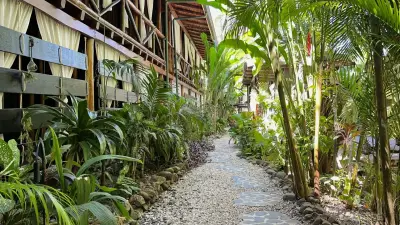 Éco-chic : Immeuble multifamilial dans les collines de Santa Teresa 4