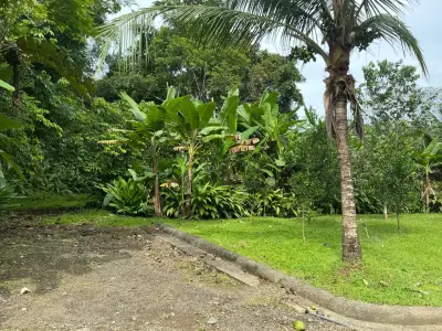 Terrain à vendre à Plantation Acres 5