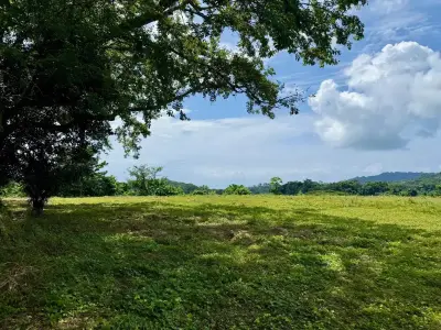 Propriété avec vue sur l'océan et la montagne près de Santa Teresa, avec une plateforme de construction impressionnante entourée par la jungle 3