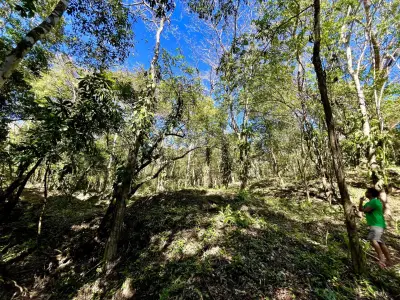 Investissez dans la nature : terrains privés de 5 000 m² en jungle à Mal País, à quelques minutes de la plage 5