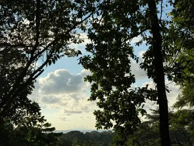 🌊 Luxe Tropical et Investissement : Terrain avec Vues Océan & Jungle et Permis Approuvés 4