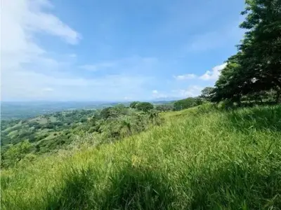 À vendre : Terrain constructible à Desmonte 2