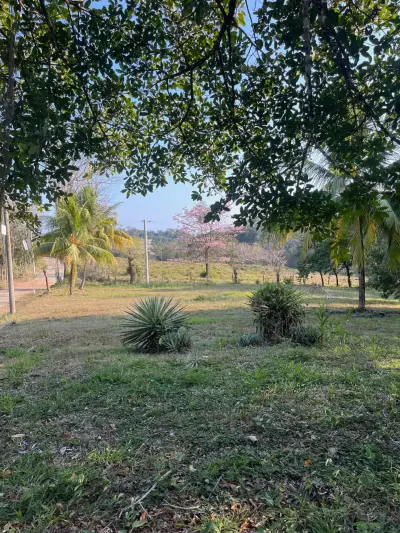 11,000 m² of Beautiful Land with Ocean View – Residential & Commercial Use in Santiago 4