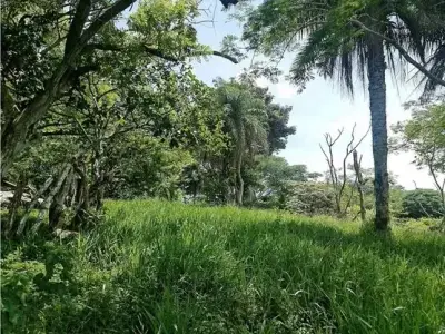 À vendre : Terrain constructible à Desmonte 4
