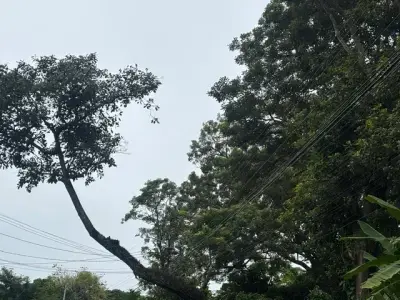 8223 m² Land in Atenas, Alajuela: Private Development in Natural Surroundings 4