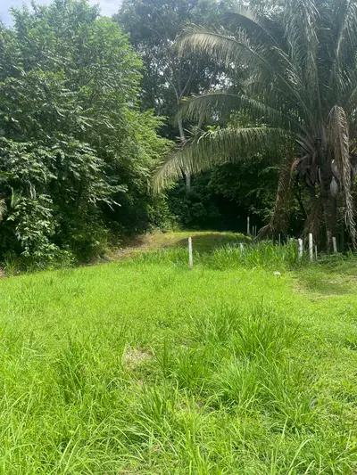 Exclusive Lot Facing Playa Hermosa: Investment and Tropical Lifestyle 2