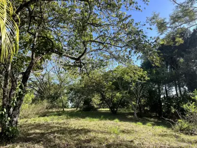 Terrain de 4000m² avec vues partielles sur l'océan à Delicias, près de Montezuma et à 20 min de Santa Teresa, prêt à construire 1
