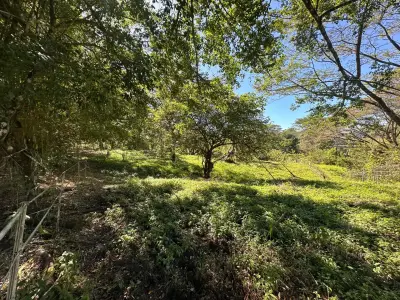 Terrain serein de 5000 m² - Nature luxuriante et potentiel de développement - À 10 minutes de Santa Teresa 4