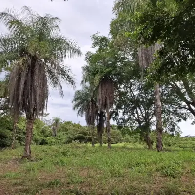 Terrain à Garabito : Lot de 4 acres dans la communauté Eco Desarrollo 5