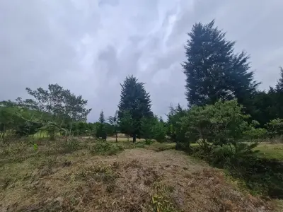 Ferme à vendre à San Isidro-Grecia, Alajuela 3