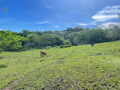À Vendre : Terrain à bâtir à Santa Ana 2