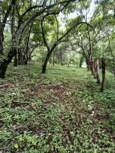 Magnifique terrain 3