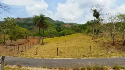 Votre rêve Costaricain vous attend : Lot de 2000 m² avec vue sur la montagne à Turrubares 1