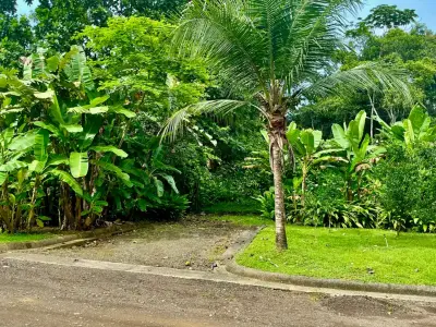 Terrain à vendre à Plantation Acres 4