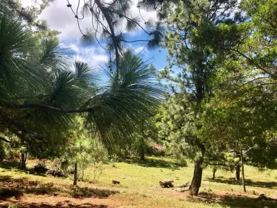 À Vendre / Magnifique Terrain (Avec Permis d'Usage Commercial) San Isidro, Heredia 5