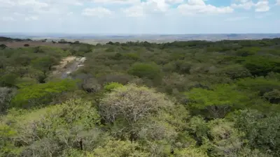 Terrain Exclusif de 6,5 Hectares à Quebrada Grande de Liberia, Guanacaste 5
