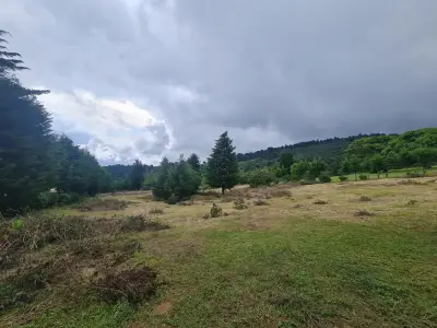 Ferme à vendre à San Isidro-Grecia, Alajuela 1