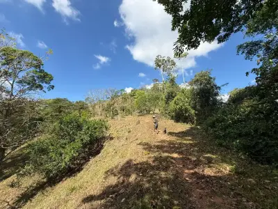 Espectacular Finca de 11.48 Hectáreas en Puriscal: Río, Cascadas y Vistas Panorámicas 2