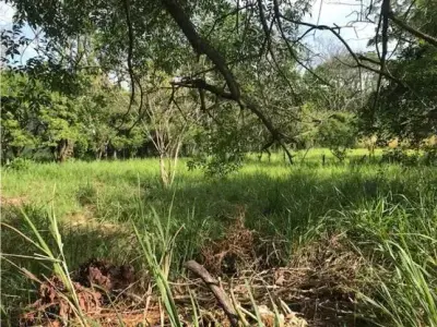 Terrain à bâtir, San Ana Salitral St 1