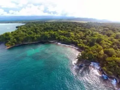Terrain Au Bord De La Plage Et Réserve Biologique À Limón 4