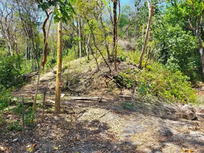 Magnifique terrain tropical de rêve à vendre 3