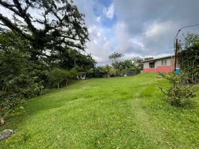 Superbe terrain à bâtir à Saragosse, Palmares - Votre rêve costaricain vous attend ! 5