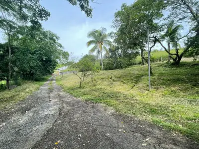 À Vendre : Quinta à Turrucares Alajuela 1