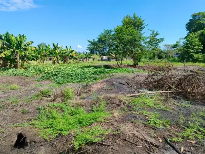 Vaste terrain de 4200 m² à développer ou pour l'agriculture près de Playa Palo Seco, Parrita 5