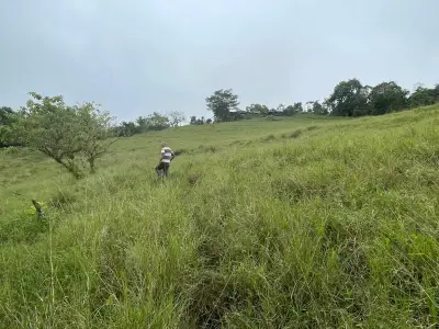 À Vendre : Ferme à développer à Puriscal 5