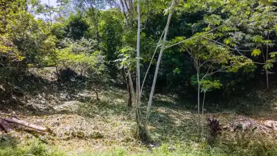 Terrain à bâtir à Playa Jaco 3