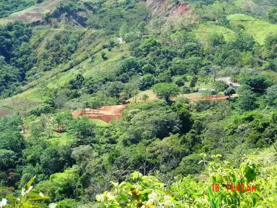 À Vendre : Magnifiques terrains dans une communauté fermée à Puriscal 5