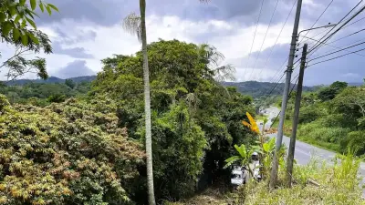 Terrain Commercial À Vendre À San Miguel, Naranjo 4